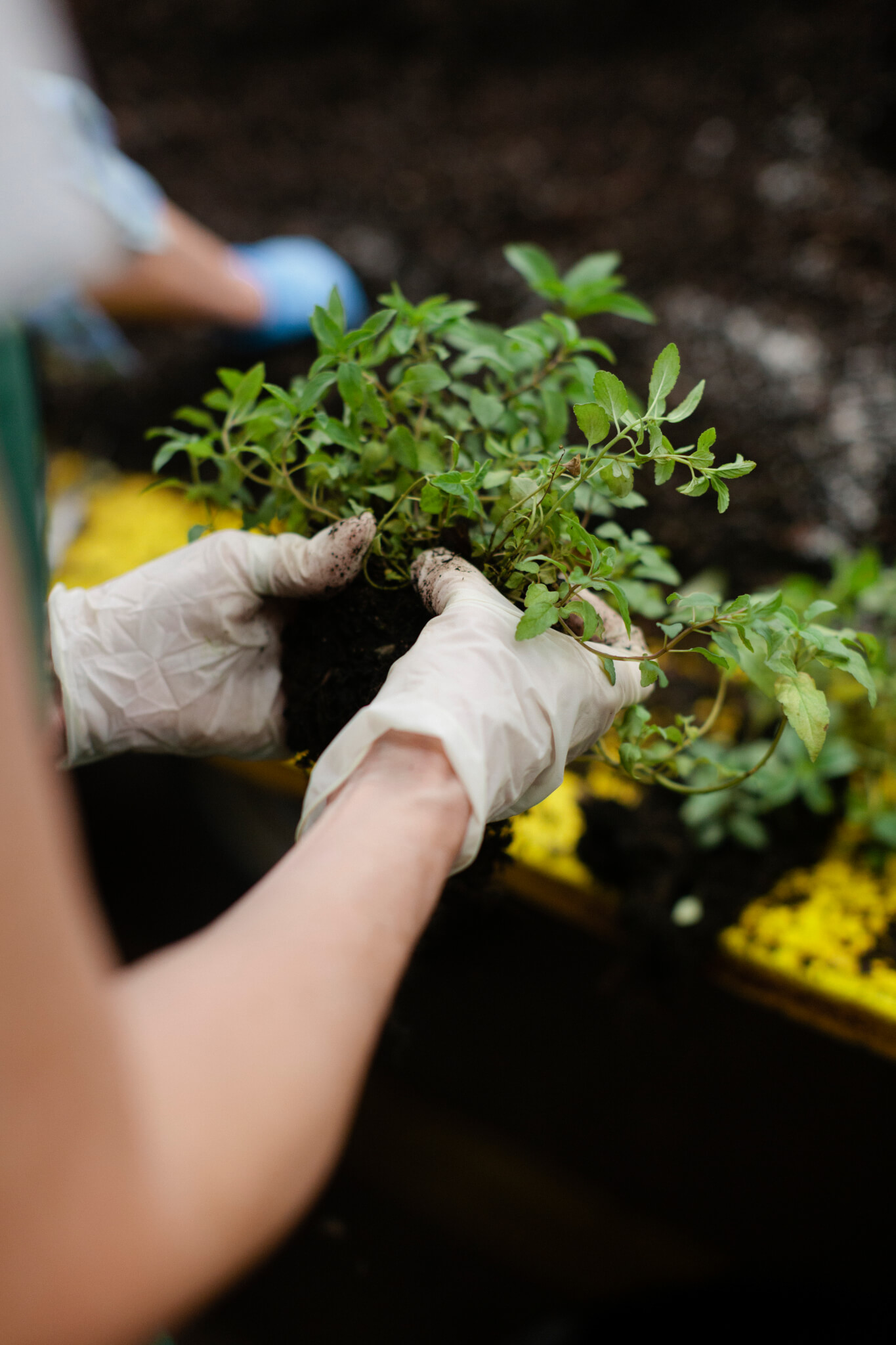 Alabama Regenerative Growers Conference