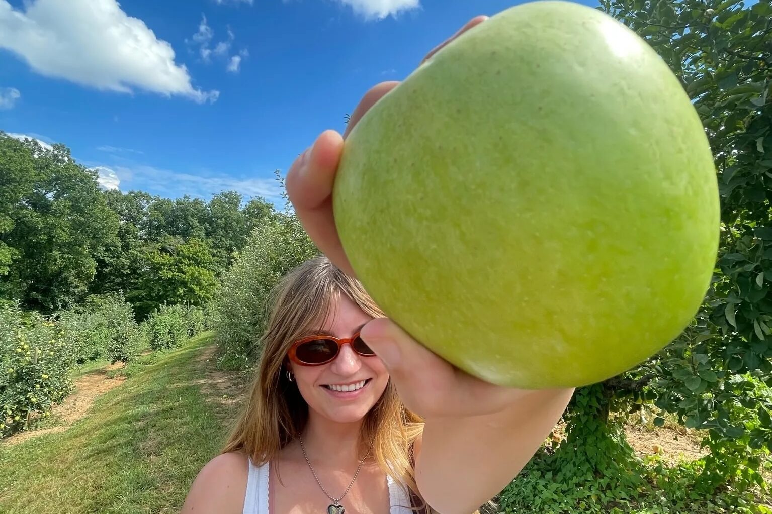 10 seasonal dishes for apple lovers in Birmingham