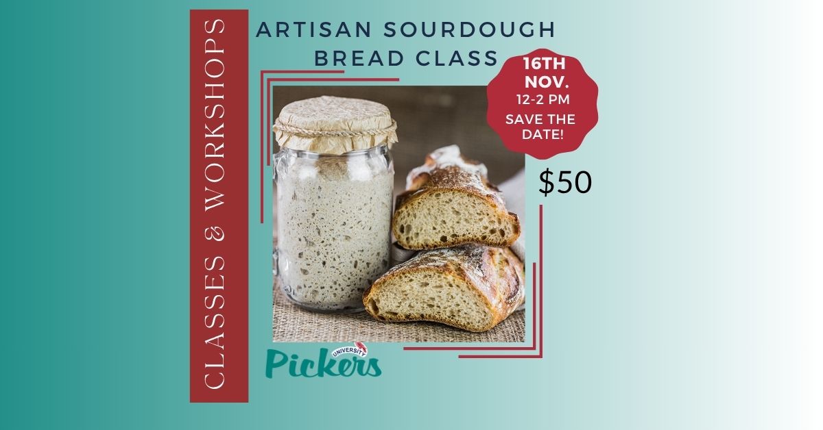 Artisan Sourdough Bread Nov. Class