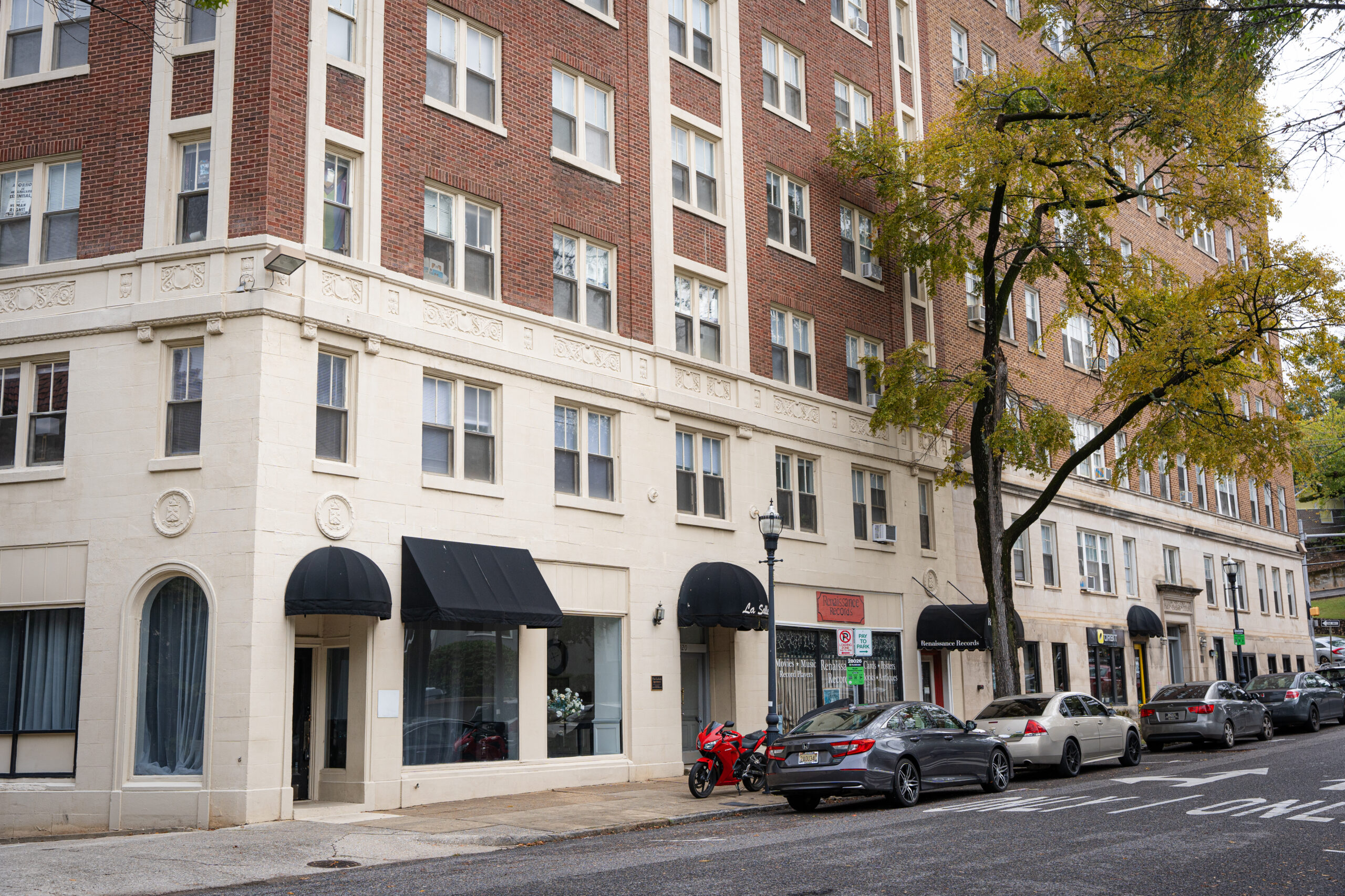 New puppy yoga space opens in Five Points South