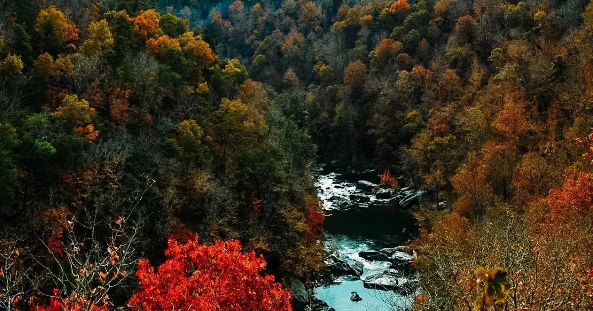Best spots to enjoy fall foliage a short drive from Birmingham Best spots to enjoy fall foliage a short drive from Birmingham