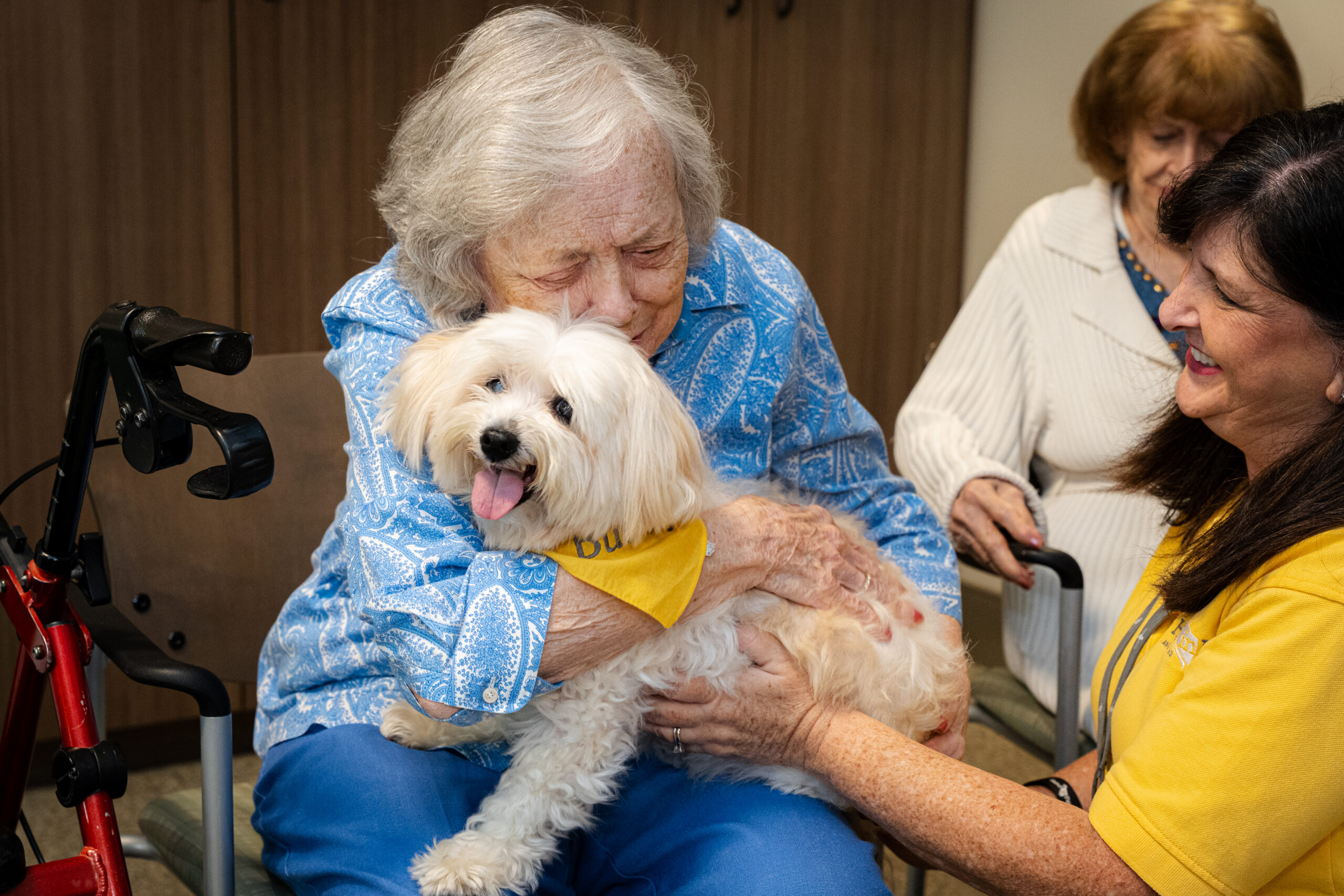 How these dogs bring healing smiles to Birmingham [PHOTOS]