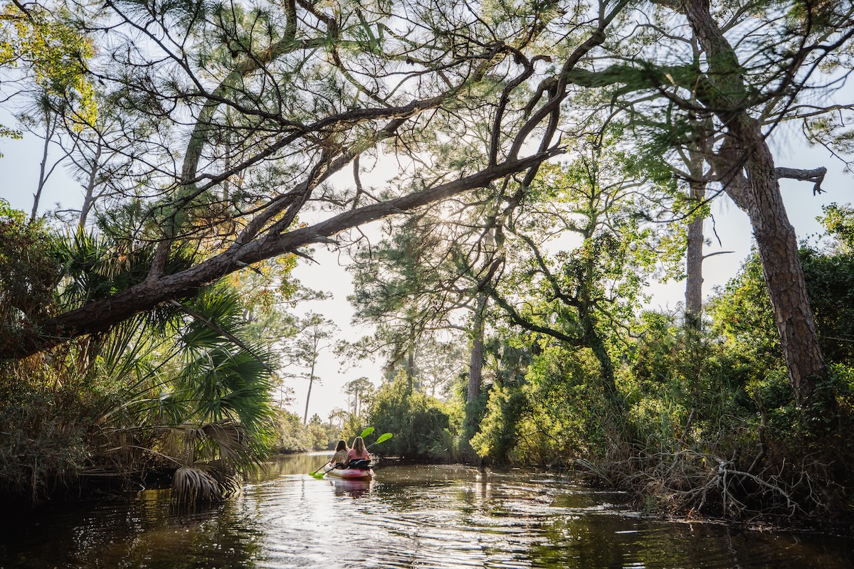 Winter wildlife getaway along Alabama’s Gulf Coast—all you need to know + how to go