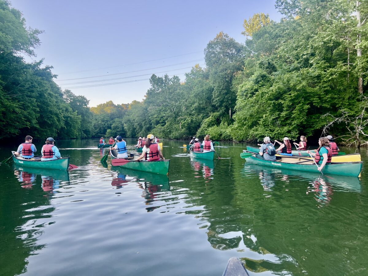 See how Irondale is becoming more beautiful + get involved