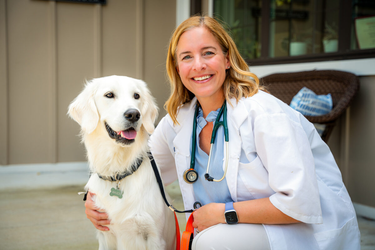 4 things every Birmingham pet owner should know, according to this local expert