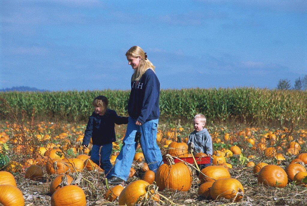 13 fall festivals, Oktoberfests + more you will love in 2026