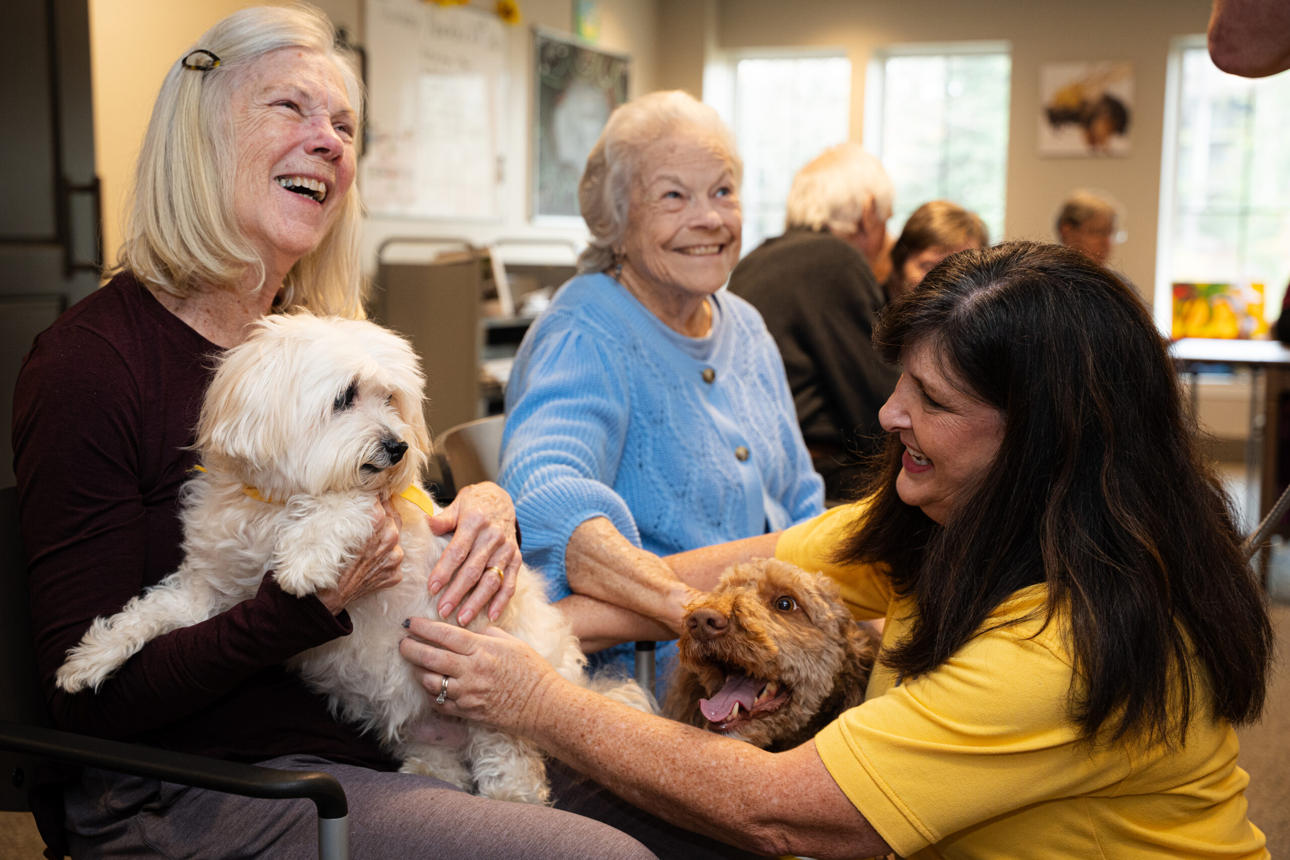 How to get tickets now for the Picasso Pets gala—give back + win a trip to Italy, August 22 How to get tickets now for the Picasso Pets gala—give back + win a trip to Italy, August 22