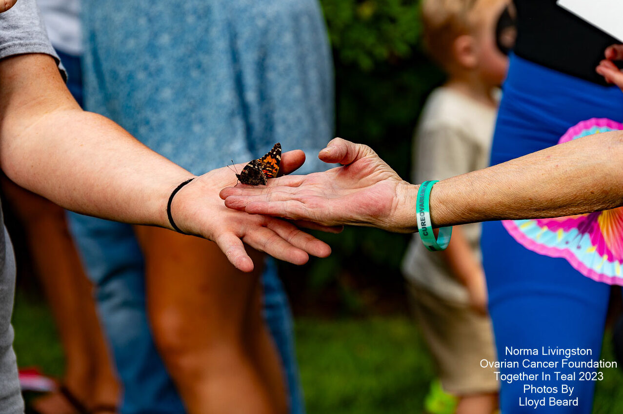 See 400+ butterflies released on Sunday, Sept 13—find out how to join this important cause