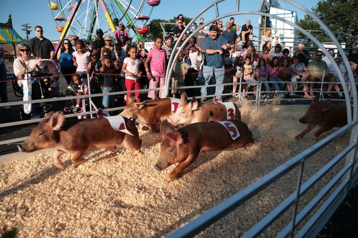 5 ways to make new fall traditions, starting with the season’s first fair near Birmingham