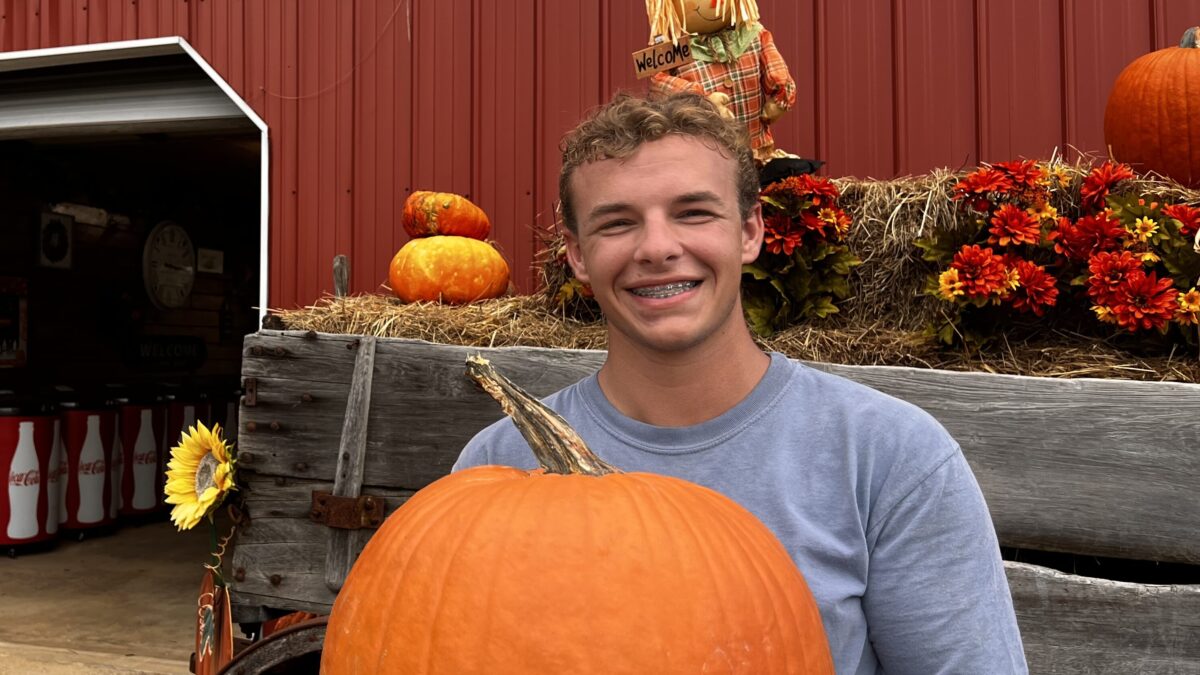 7 perfect pumpkin patches near Birmingham: Everything you need to know for 2026
